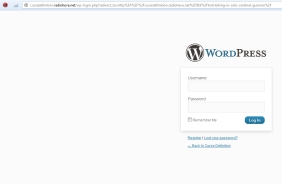 Spam fuckers trying to steal your WordPress account.
