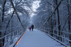 winter-bridge_8108