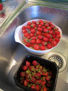 Wash the berries.