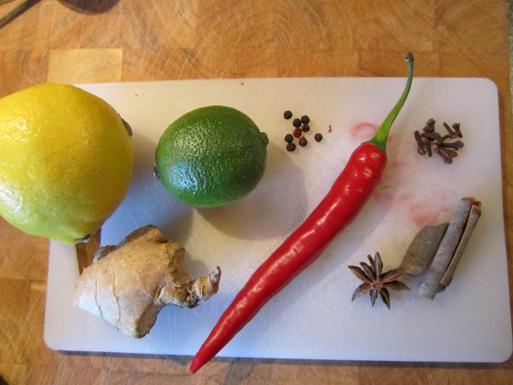 Lemon, lime, ginger, chili, pepper, cloves, cinnamon, star anise.