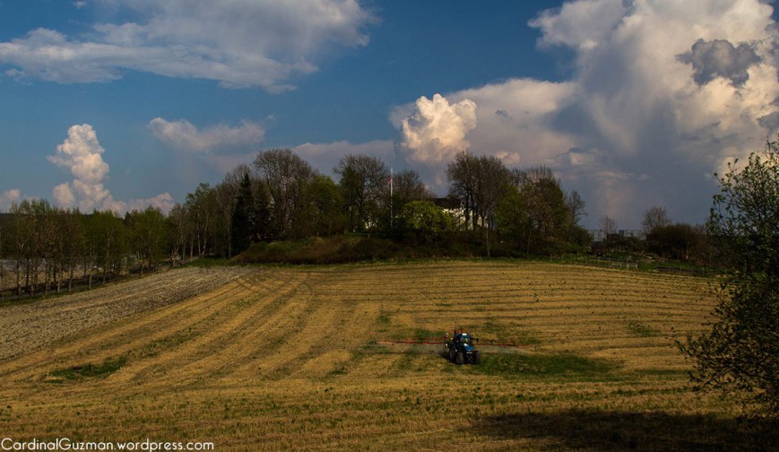 A tractor spraying the fields on a sunny day.