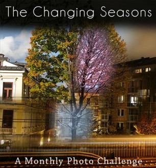 Los cambios de estaciones - un desafío mensual de fotos