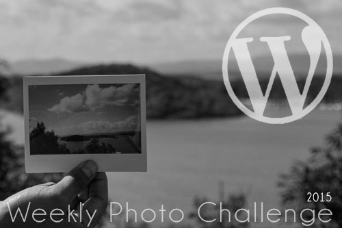 Weekly Photo Challenge widget by CardinalGuzman.wordpress.com