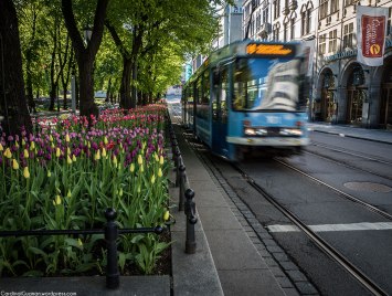 Flowers & tram