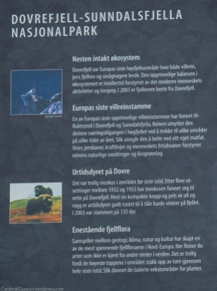 Info poster on Dovrefjell–Sunndalsfjella National Park (see the previous post for the full info in English).