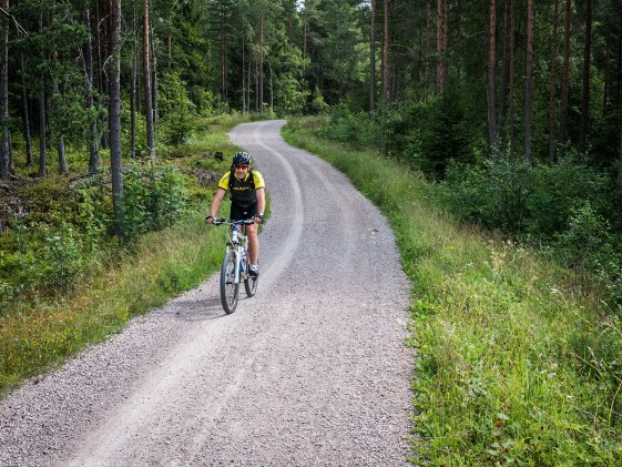 Cyclist near Maridalsvannet.