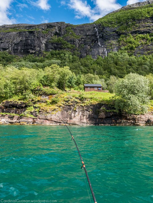 A small cabin, a waterfall and cod fishing.