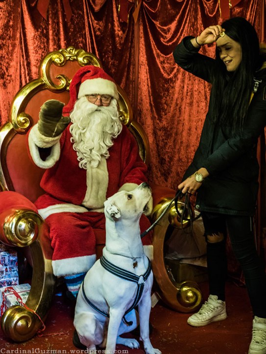 Santa, dog and a model.