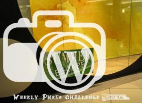 I participate in WordPress' Weekly Photo Challenge 2016