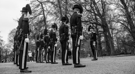 Guards at the Royal Palace.