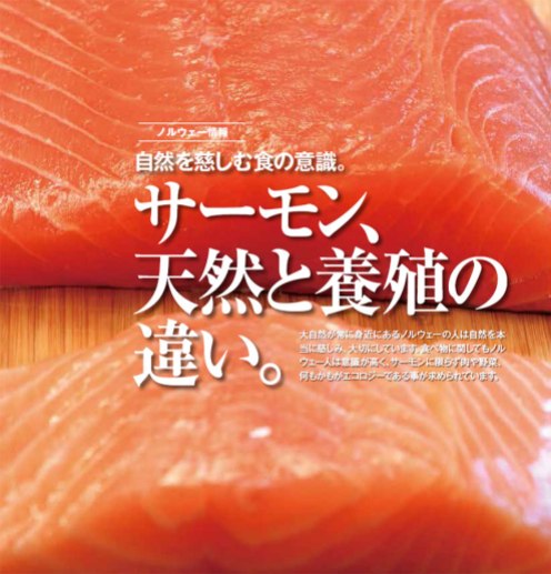 Wild versus farmed salmon. Photo and text by Romi Ichikawa.