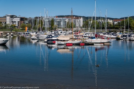 The marina by Bygdøylokket.