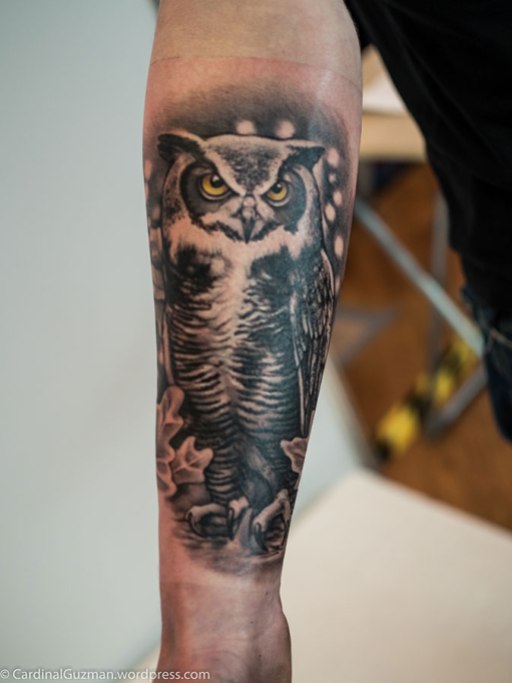 Owl by Jarosław