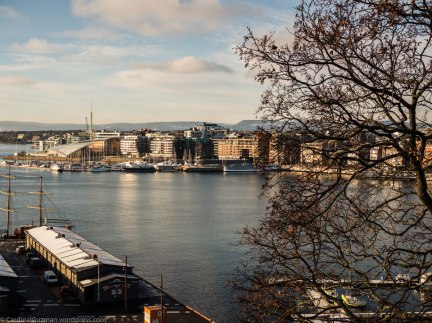 Aker Brygge seen from Akershus Fortress