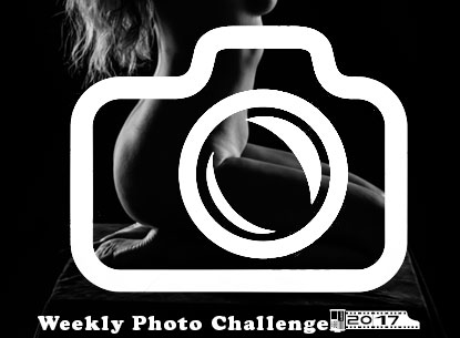 See all my entries to the Weekly Photo Challenges