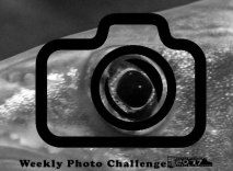 I participate in WordPress' Weekly Photo Challenge 2017