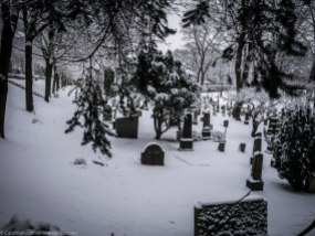 Vår Frelsers Gravlund (Dems Frelsers Gravlund i mitt tilfelle) / Our Saviour's Cemetery (Their Savior's Cemetery in my case).