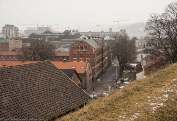 View from Akershus Fortress